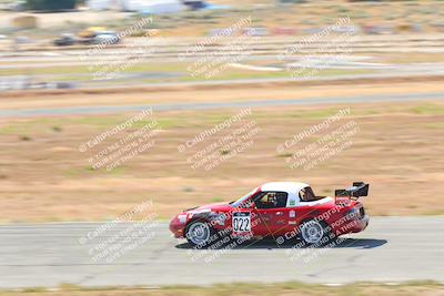 media/May-06-2023-Lucky Dog Racing (Sat) [[8f2256f436]]/Turn 2 10a/